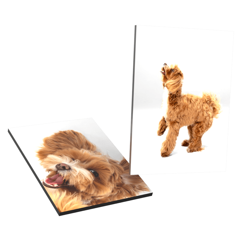 Photo Printing Services Services Nairobi Kenya