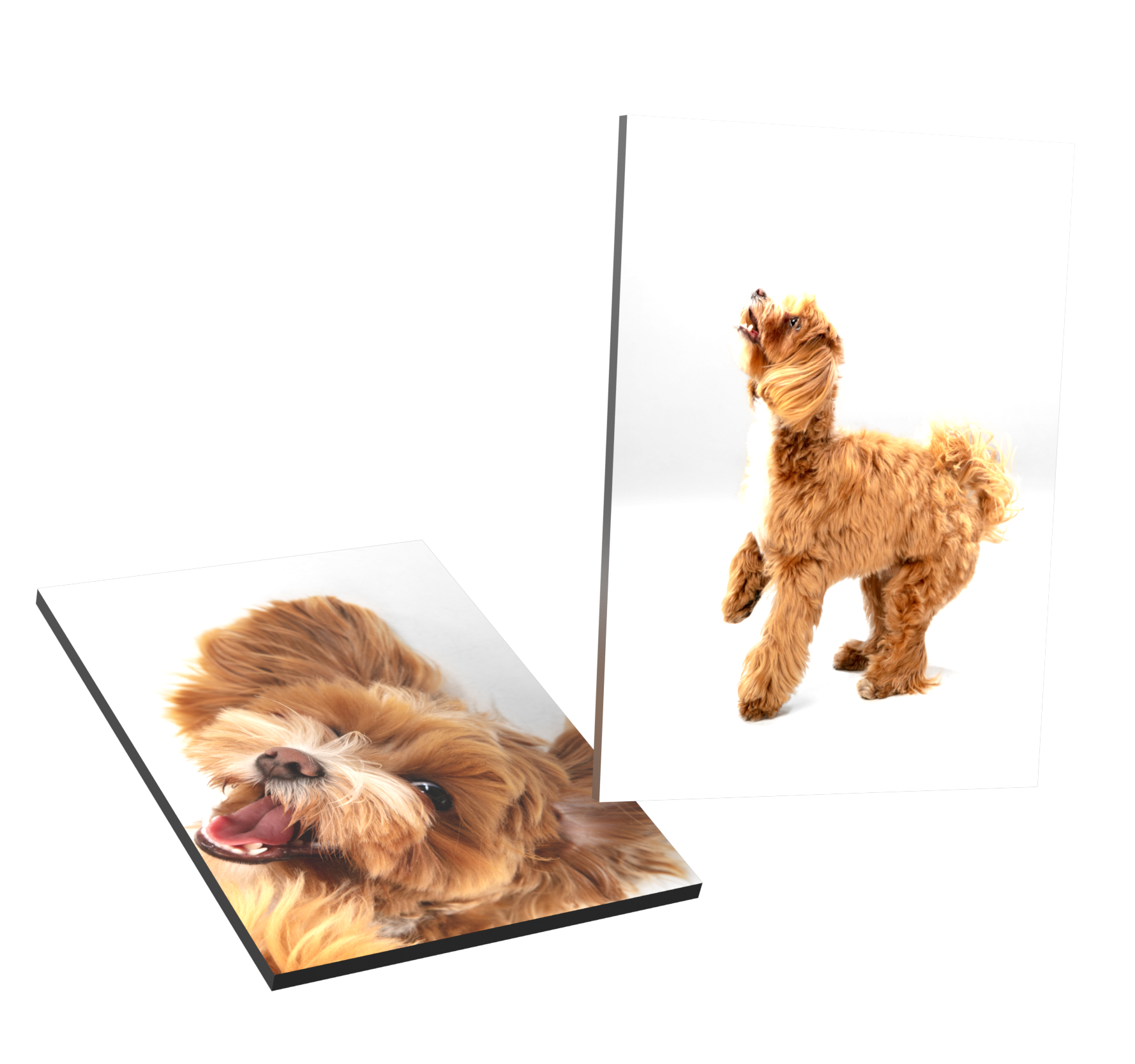 Photo printing in Kenya, Photo printing services in Nairobi